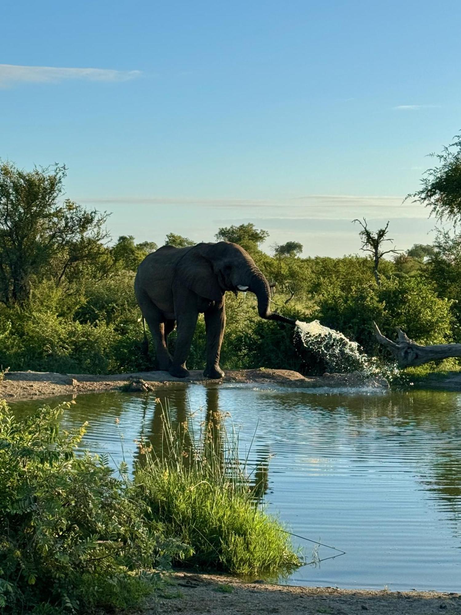 Ku Sungula Safari Lodge Заповідник Балуле Екстер'єр фото