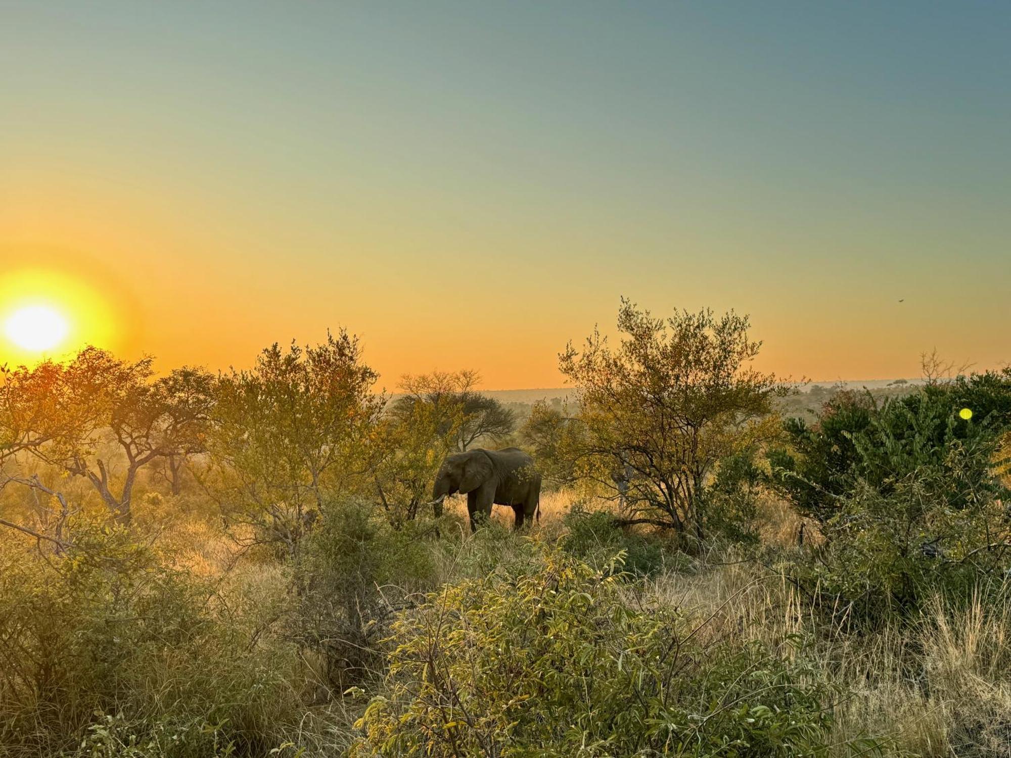 Ku Sungula Safari Lodge Заповідник Балуле Екстер'єр фото