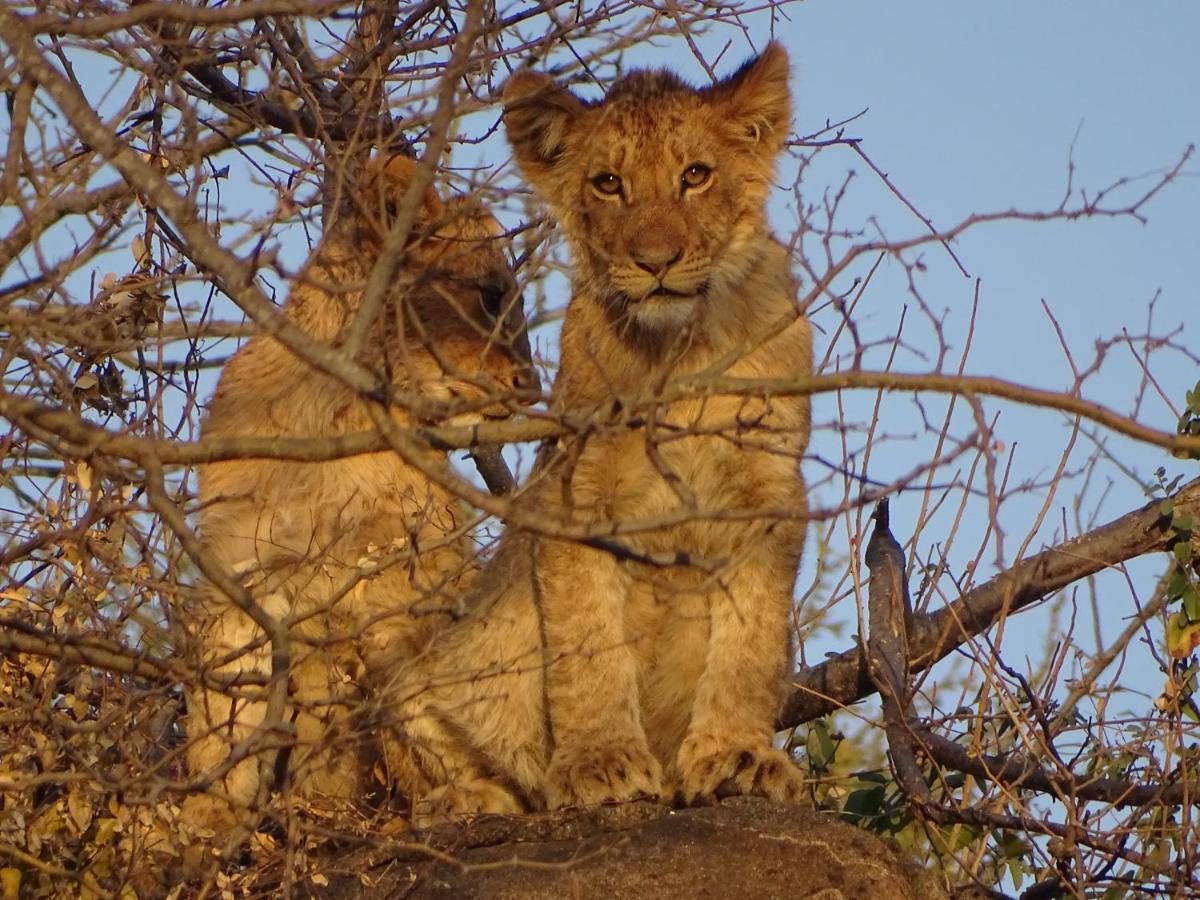 Ku Sungula Safari Lodge Заповідник Балуле Екстер'єр фото